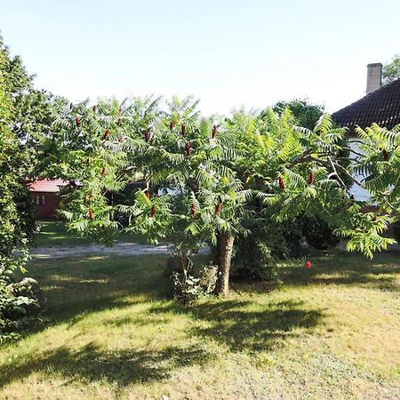 Bungalow In Lubin At 300 M From The Lake エクステリア 写真